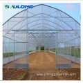 Hydroponics farm single-span agricultural greenhouse